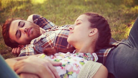 en alta calidad en formato 4k una pareja joven relajándose en el parque
