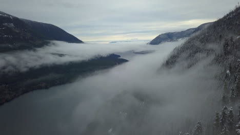 große luftaufnahme eines tals, das von winternebel bedeckt ist, auf der insel vancouver, kanada