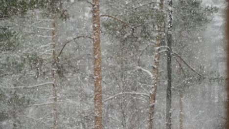 Schneeflocken-Fallen-In-Zeitlupe