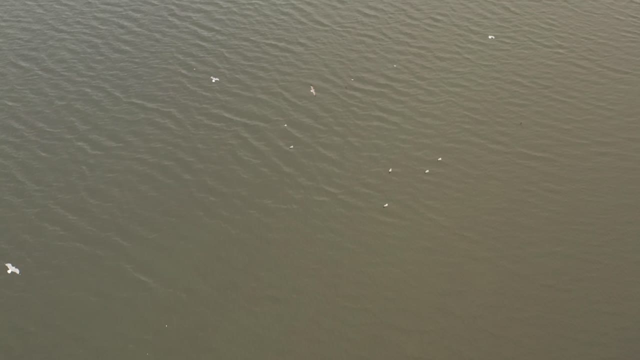 추운 겨울 아침에 calvert vaux park 옆에 있는 코니 아일랜드 개울의 공중 전망