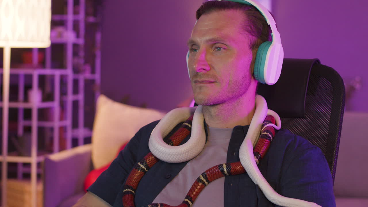Close Up View Of Man In Headphones Sitting At Desk And Holding Two Snakes Around His Neck While Using The Computer