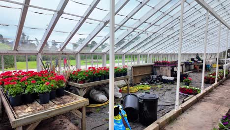 Glasshouse-interior,-Powerscourt-Gardens-in-Wicklow-Ireland-Epic-locations