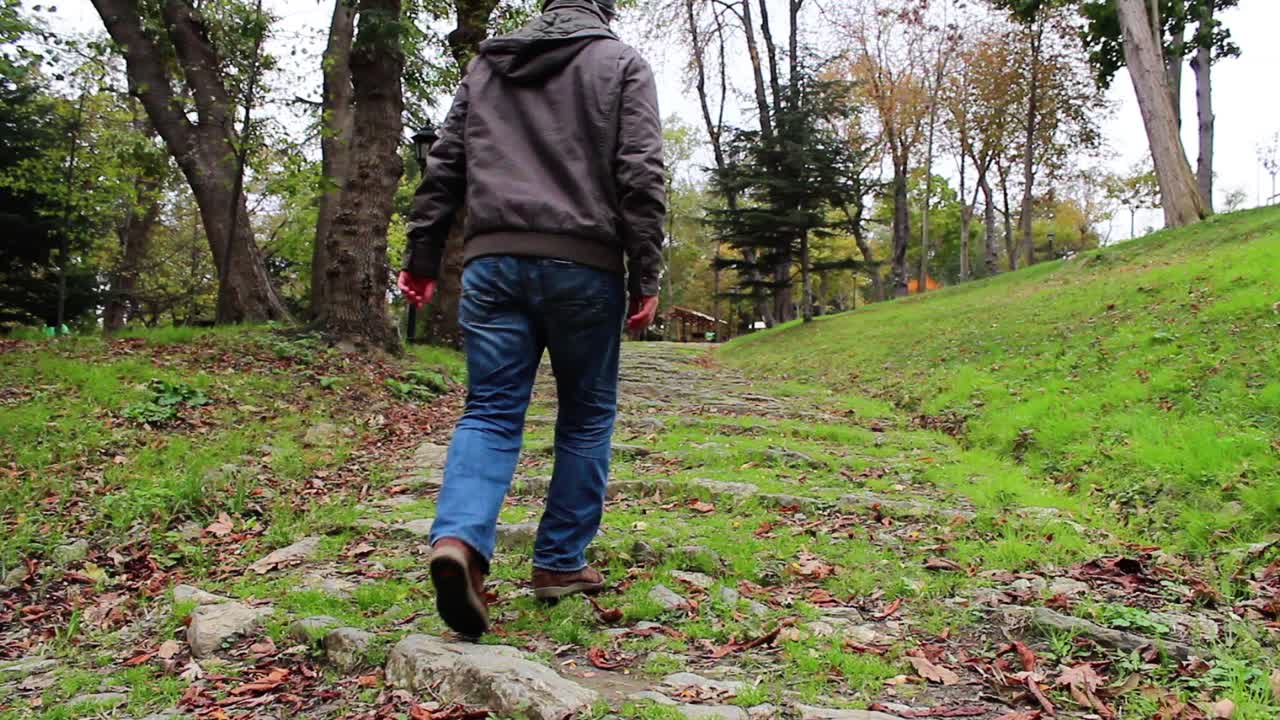 caminando por el bosque de otoño 1