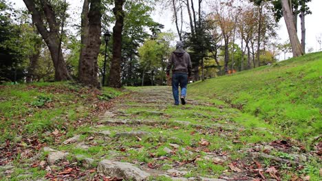 Wandern-Im-Herbstwald-1