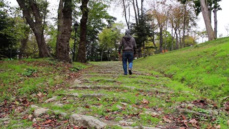 caminando por el bosque de otoño 1