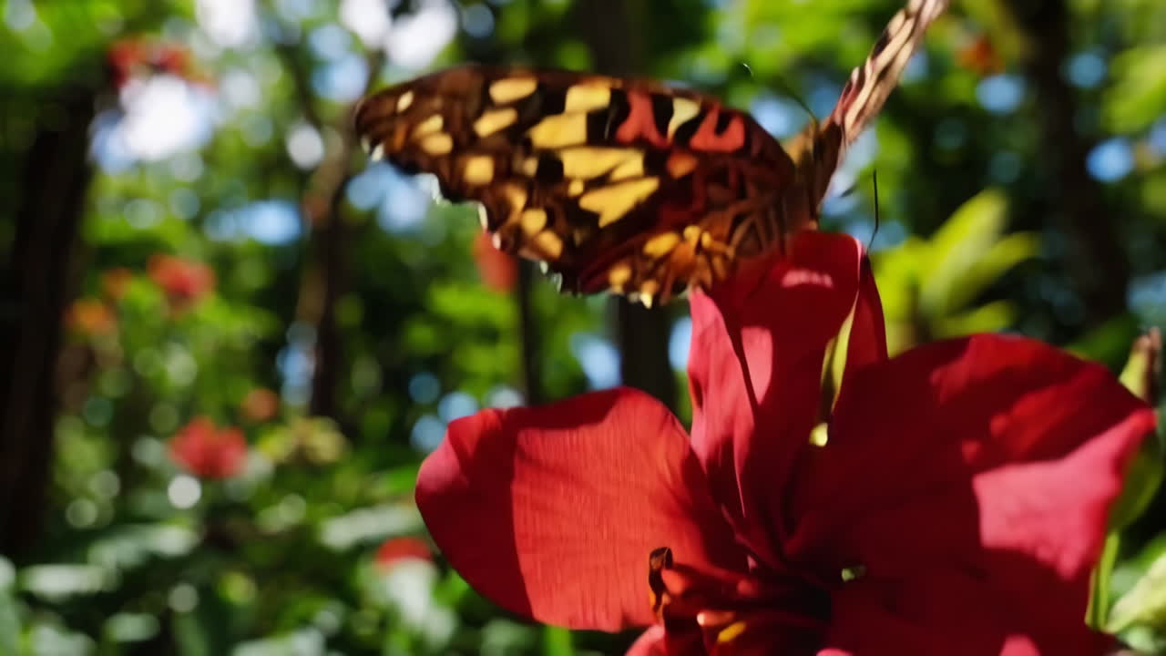Tropical Rainforest Scenery with Butterfly