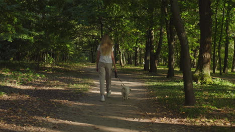 una adolescente caminando con un cachorro en el parque, vista trasera