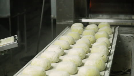 masa de pan fresca sin hornear en línea espolvoreada con harina de trigo lista para hornear en el horno grande