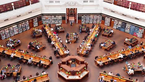 people studying and reading in a library