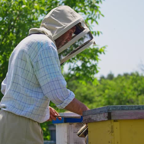 apiarist holding special instruments for bee faming in hands. bee farmer inspecting the bee hives on sunny summer day