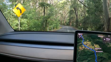 car navigates winding forest road with gps guidance