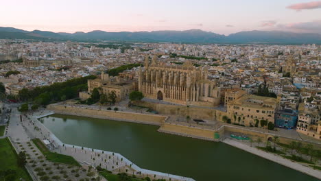 aerial view of palma cathedral and cityscape at sunset