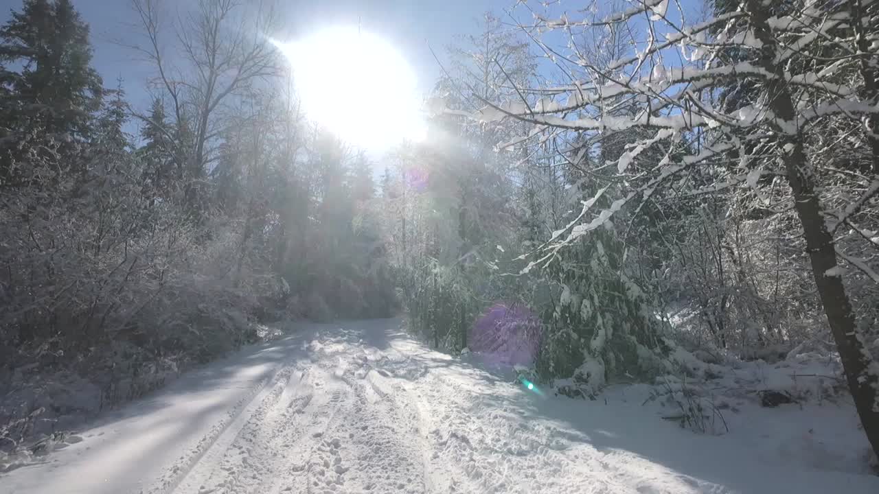 눈으로 뒤덮인 자연