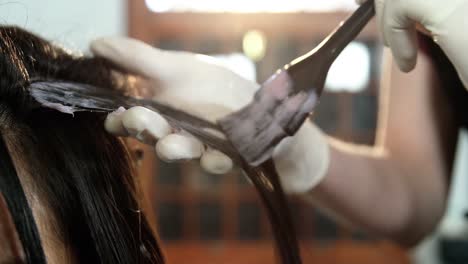 hairdresser dyeing hair of her client