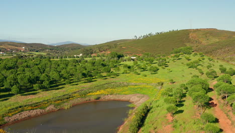 Aerial:-Agriculture-in-the-Algarve,-Portugal