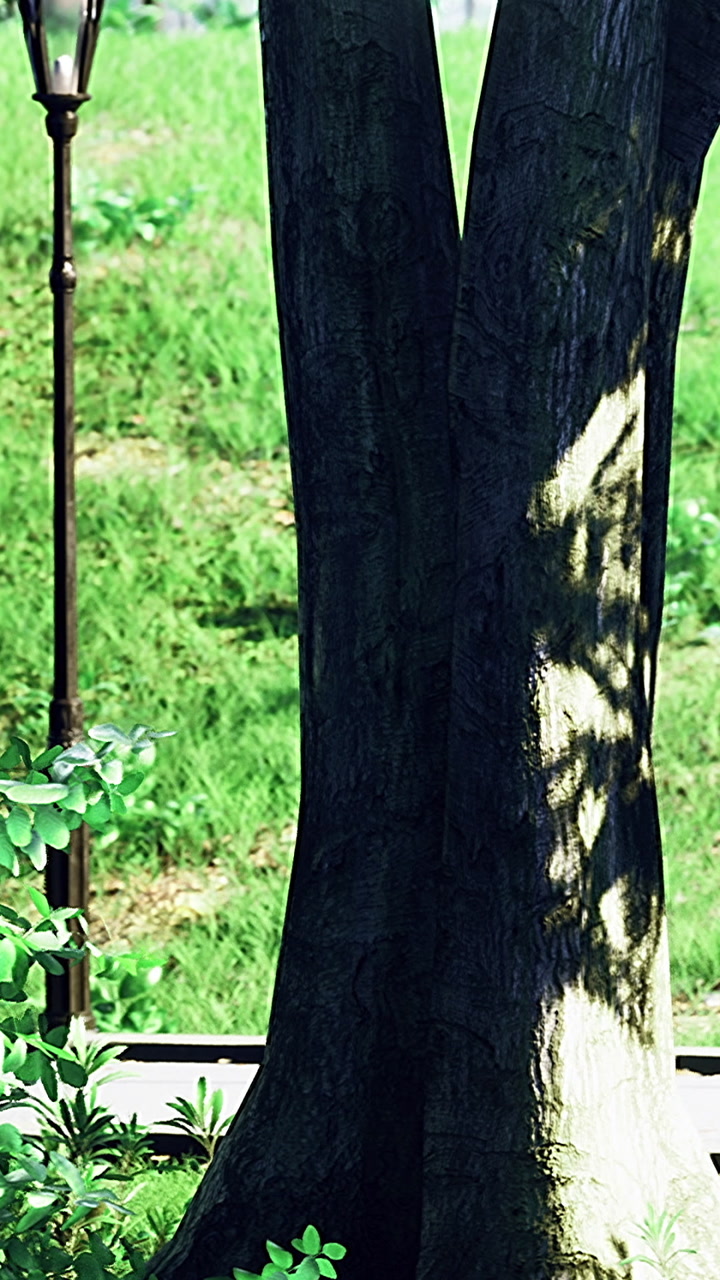 Green leaves by a tree in a field during daytime with sunlight