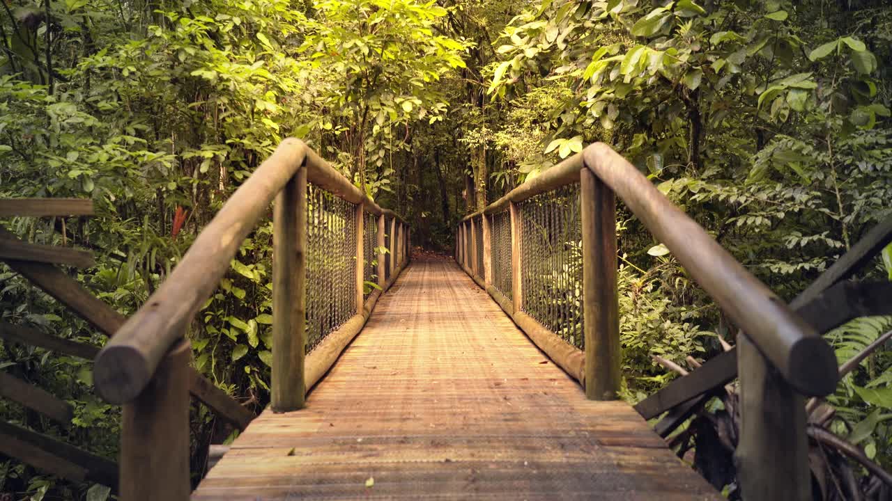 hermosa escena con un puente colgante de madera a través de la selva amazónica, brasil