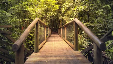 beautiful scene with a suspension wooden bridge across the rainforest amazon jungle, brazil