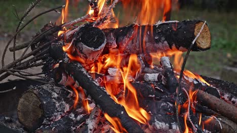 burning flame at campfire on wooden logs