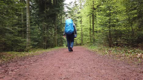 Mann-Wandert-Auf-Dem-Beliebten-Fernwanderweg-Westweg-Durch-Den-Schwarzwald-In-Süddeutschland