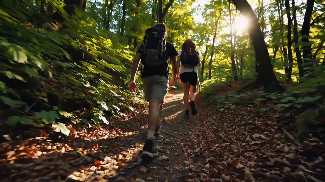 Gruppo di persone in escursione su un sentiero forestale soleggiato