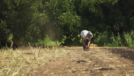 Tiro-Estático-De-Granjero-Masculino-Está-Limpiando-La-Tierra-Antes-De-La-Cosecha-De-Pepino,-Labrando-Y-Compostando-En-El-Campo-Durante-El-Día