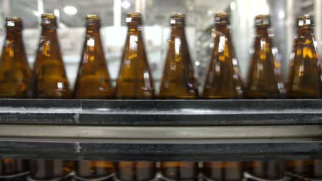 bottles on a conveyor belt in a brewery