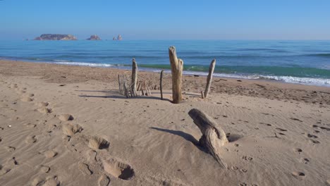 hermosa playa sin gente europea con primer plano de troncos e islas medianas en el fondo