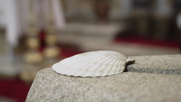 scallop shell placed on a stone surface inside a church