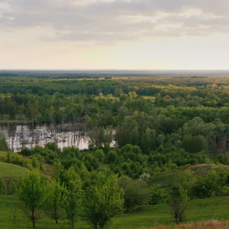 picturesque green valley