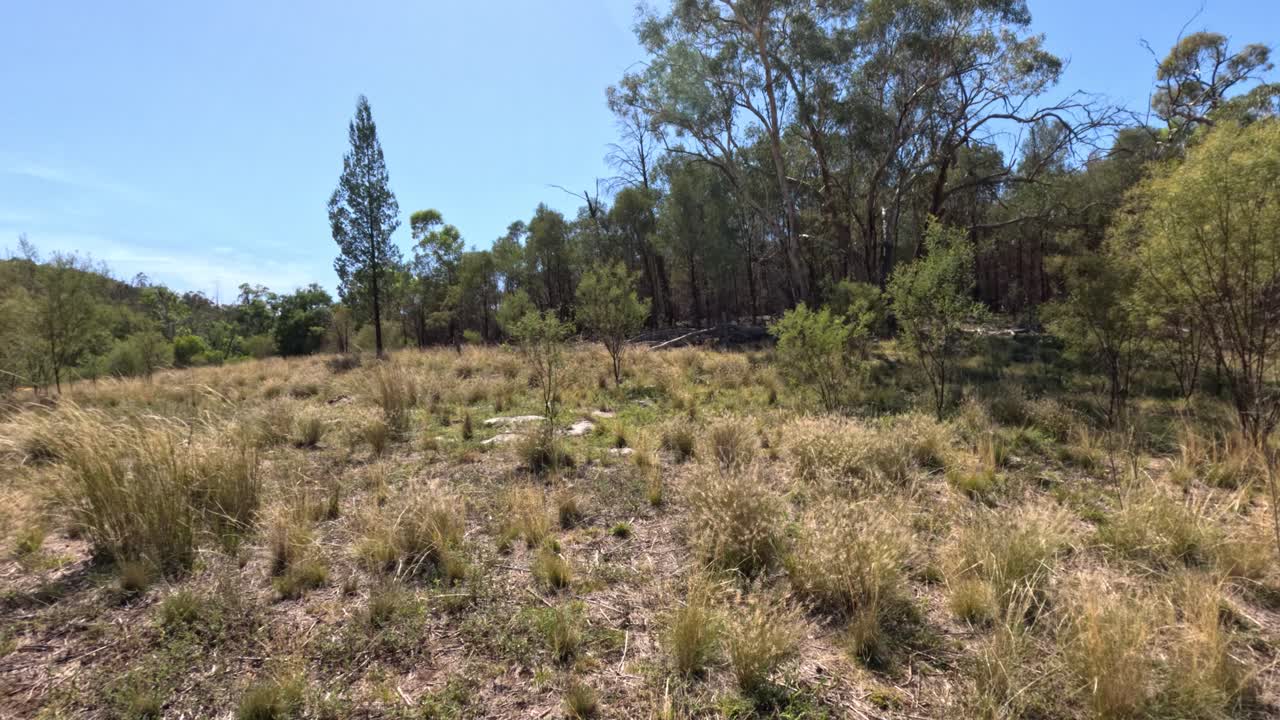 señal de advertencia en un área cubierta de hierba y bosque