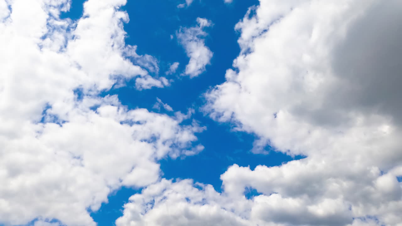 Cumulus white soft clouds transforming quickly in the atmosphere. Low angle view. Timelapse.