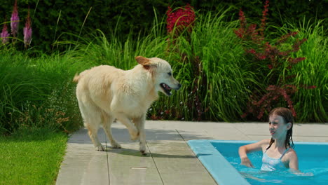 niña y perro en la piscina.