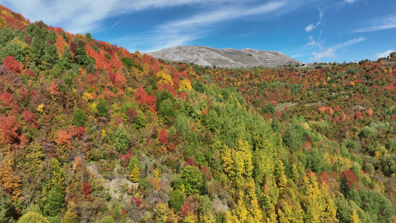Stunning Aerial View of Autumn Foliage on a Mountainside