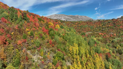 Stunning Aerial View of Autumn Foliage on a Mountainside