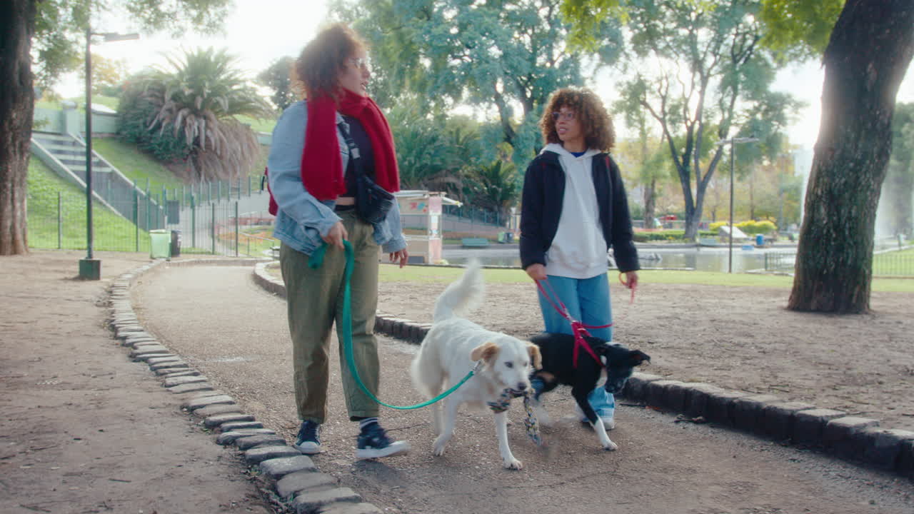 Young Women Enjoying Walk with Dogs in the Park
