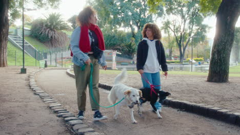young women enjoying walk with dogs in the park