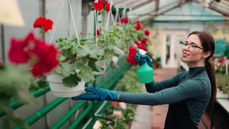 gardener working in botanical garden, greenhouse worker spraying plants