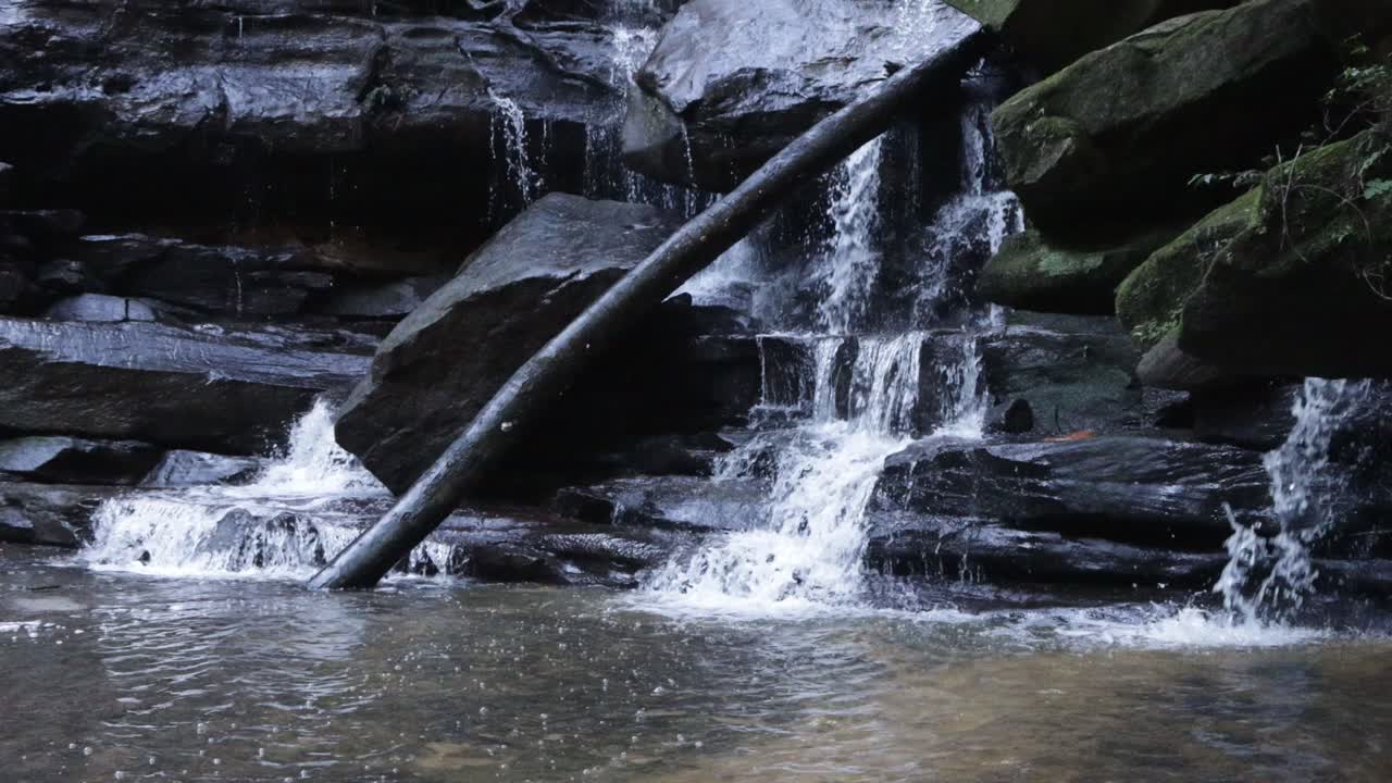 tronco de árbol caído en somersby falls cerca de sydney australia en el parque nacional de agua de brisbane, tiro bajo bloqueado
