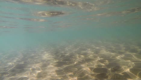 blue sea water sunny refractions on sandy bottom, underwater loop-ready background