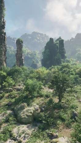 a serene forest landscape with towering trees and ancient rocks