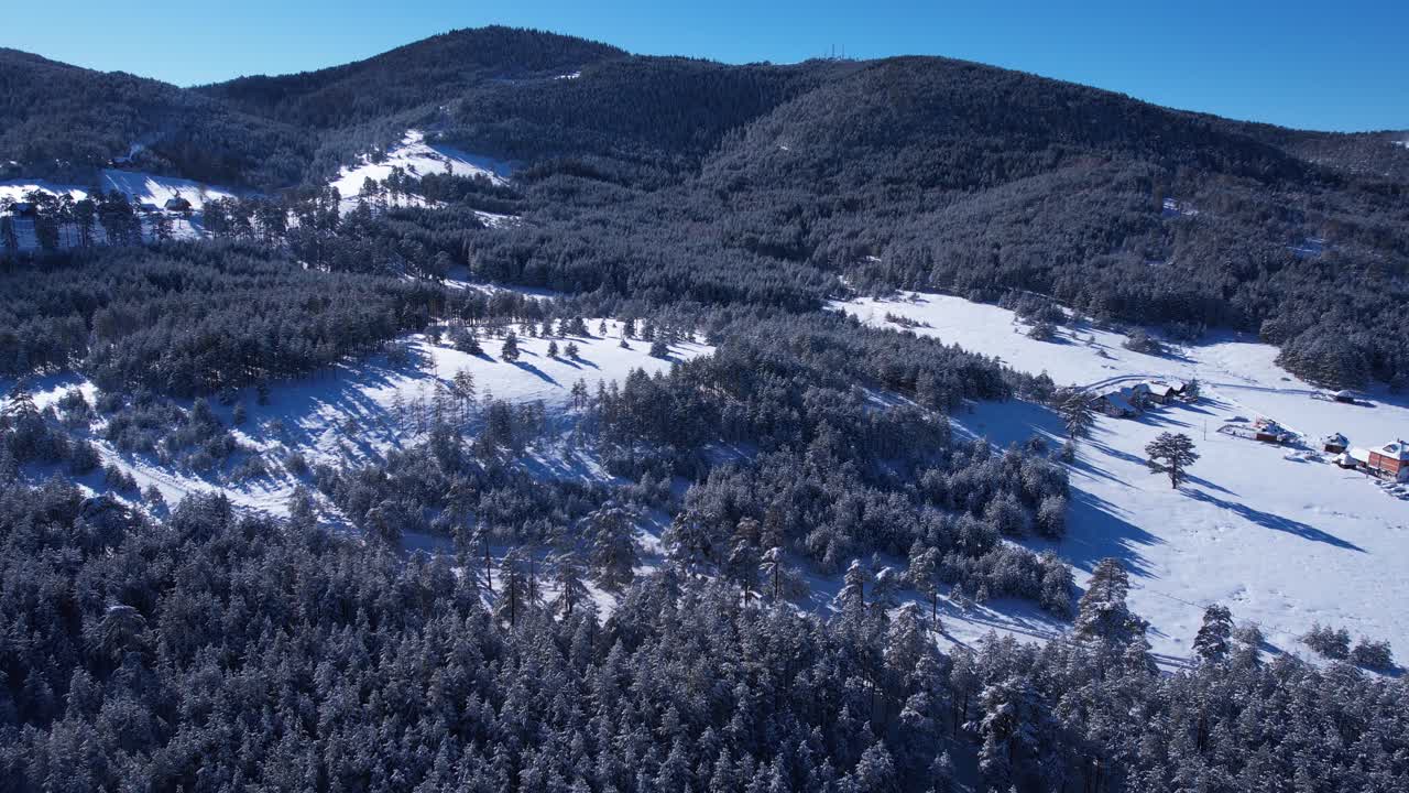 Drone Shot of Snow Capped Forest and Hills in Mountains on Sunny Winter Day, Beautiful Landscape Scenery