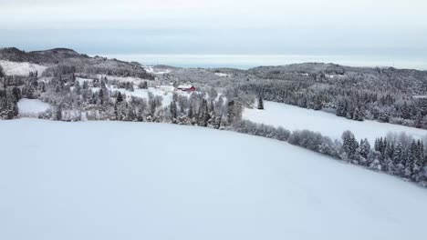 Durchqueren-Sie-Den-Bezaubernden,-Schneebedeckten-Wald,-In-Dem-Jeder-Ast-Zart-Mit-Einer-Unberührten-Schneeschicht-Geschmückt-Ist-Und-Eine-Magische-Atmosphäre-Schafft,-Die-Sie-In-Ein-Reich-Der-Ruhe-Entführt