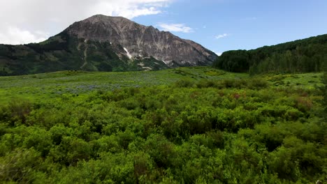 Natural-beauty-and-pristine-environment-of-Deer-Creek-Trail,-Colorado