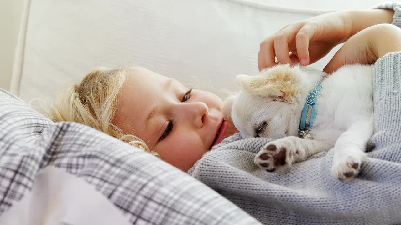 소파에 누워 있는 작은 소녀가 집에서 애완동물을  ⁇ 고 있다 4k 4k