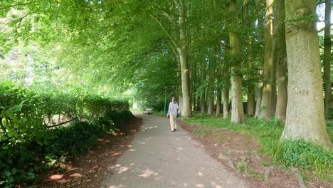 person walking down a path in a park on a sunny day