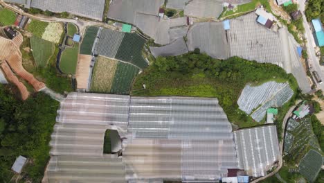 general landscape view of the brinchang district within the cameron highlands area of malaysia