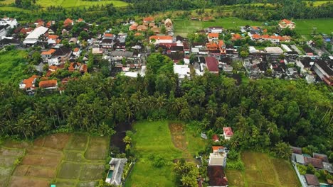 Wunderschöne-Filmische-Ubud-,-Bali-Drohnenaufnahmen-Mit-Exotischen-Reisterrassen,-Kleinen-Farmen-Und-Nebligen-Agroforstplantagen