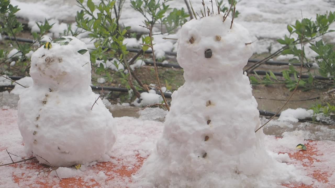 Snowman in the Garden