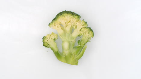 one broccoli lie on a white in background in slow motion falling water splashes.